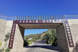 太原东山五龙森林公园步道最后一段：凤凰台——追梦顶图片