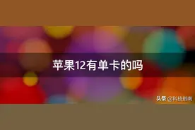 苹果iPhone 12海外版其实都是双卡，国行版实体双卡的利与弊图片
