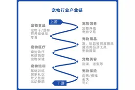 从历史的角度，把握疫情期间的风口图片