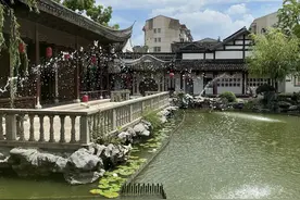 上海嘉定的南翔老街，檀园值得一逛，烤猪蹄和烤面筋是一绝图片