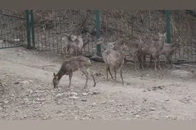 北京野生动物园图片