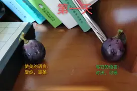亲手从一串葡萄上摘下的两个果子做实验，语言的力量如此强大图片