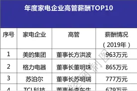 “家电企业高管薪酬榜”出炉 美的格力苏泊尔居前列图片