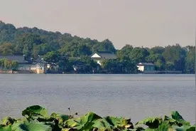 花港观鱼，花家山下流花港图片