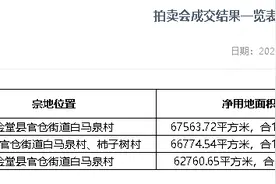 港中旅再拿金堂3宗地共计约296亩，拟建天府水城温泉康养度假区图片