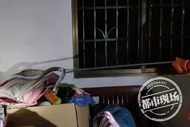 赣州：女子夜晚躺家里玩游戏，身边惊现眼镜王蛇图片