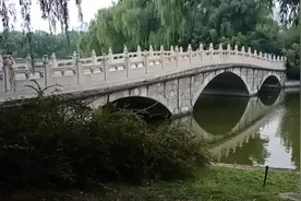 老人说，在农村进山兜里揣盐不怕狼，狼会怕盐是真的吗？图片