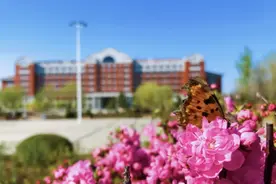 辽宁工程技术大学，来了图片