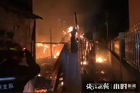 杭州养殖场凌晨大火，唯一幸存了一只小黄鸭！它的命运会如何?图片