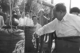 毛泽东去训练场，拳击蒋介石画像：老朋友好久不见，我也打你两下图片