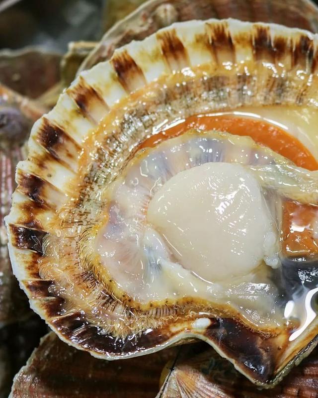 椰盅炖花胶 2026年椰汁炖花胶的做法大全