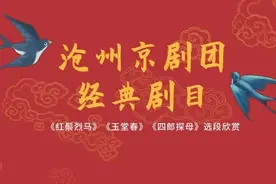 “云”端品国粹 | 沧州京剧团经典剧目《红鬃烈马》《四郎探母》《玉堂春》选段欣赏图片