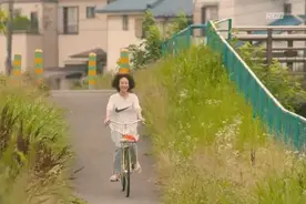 长假过不够的田园生活，豆瓣9.6分新剧全有了图片