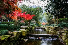 九溪烟树，溪流、茶园、迷雾、青川，构成这一景区的四大旅游特色图片