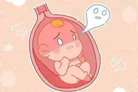胎儿在肚子里靠什么自由“呼吸”？图片