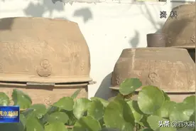 泗水县柘沟镇获评山东省文化生态名镇图片