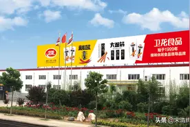 宋清辉：卫龙食品安全问题亟待解决 单一产品会为其带来巨大风险图片