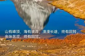 这盛世，如您所愿图片