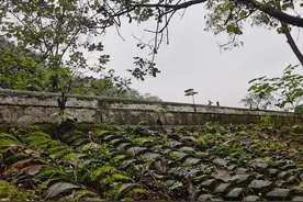 恰相逢时，便相逢图片