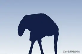 错抱事件：威威手里有没有“秘密武器”？图片