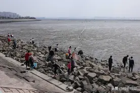 青岛胶州湾白泥地公园赶海图片