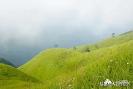 三天两夜徒步武功山，看最美高山草甸和狮子座流星雨图片