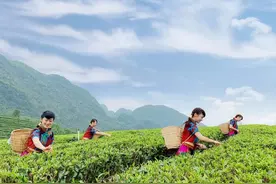 清远唯一！英德又被国家点名啦！图片