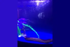 你觉得对吗图片