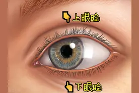 眼皮痒，还会起皮屑，经常想去挠，怎么办？图片