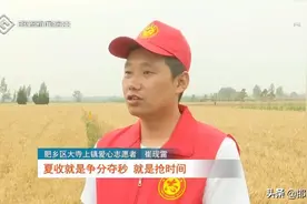 肥乡：爱心快餐到地头 解决机手大忧愁图片