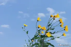 “男闺蜜失恋了，我去他家住几天”老公：去吧，我女闺蜜也要来图片