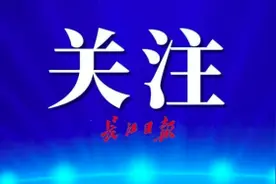 汉阳区公布2020年义务学段学校对口划片信息图片