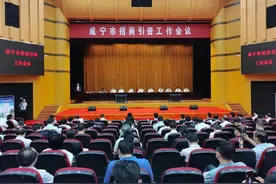 咸宁重奖招商“功臣”：个人最高37.5万元现金，8名干部将被提拔晋级图片