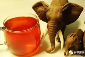 茶人借鉴：肯尼亚的红茶为什么好？图片