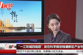 杭州公布钱塘新区战略规划，专家解读“一江双城四组团”概念视频封面