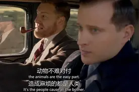 全世界的鸟，都怕了这堵墙图片