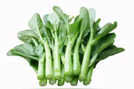 广东人吃“菜心”到底有多猛？一年要吃掉全中国50%的“菜心”图片