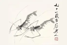 齐白石以画虾而闻名，画家少白汤发周说，进而成了他的象征和符号图片