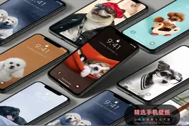 手机壁纸 | 墨镜一戴谁都不爱，狗毛一甩谁都不睬，爱我你怕了吗图片