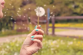 写给女人：止损要及时，分手要趁早图片