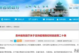 贵州省财政厅二十条财政政策全力支持疫情防控图片