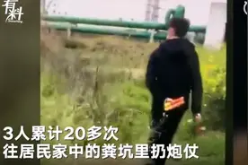 3男子为寻刺激炸粪坑20多次，兴奋拍视频留念图片