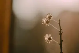 一个人的最高境界：持“无”图片