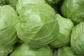 原来炒包菜也有窍门，多加这一步，包菜脆嫩又入味，比吃肉还过瘾图片