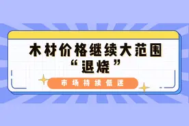 木材价格继续大范围“退烧”，市场持续低迷图片