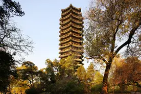 北大安徽考生录取数据可喜！看看有没有你的母校？图片
