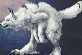 狼狈的“狈”究竟是什么动物，见过的人都说：它实在太狡猾了图片