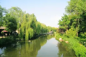 端午节说规律话安康图片