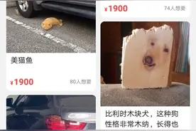 闲鱼上卖的沙雕物品，让人看完“哇”的惊呼出来图片