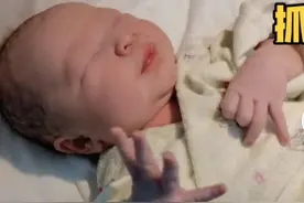 新生儿出生后手爱乱抓，抓不到还哭闹，原因很搞笑，妈妈赶紧安慰图片